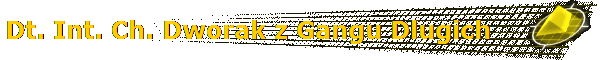 Dt. Int. Ch. Dworak z Gangu Dlugich Dt. Int. Ch. Dworak z Gangu Dlugich