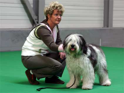 Deutscher Jugendchampion des VDH/APH Dworak z Gangu Dlugich
