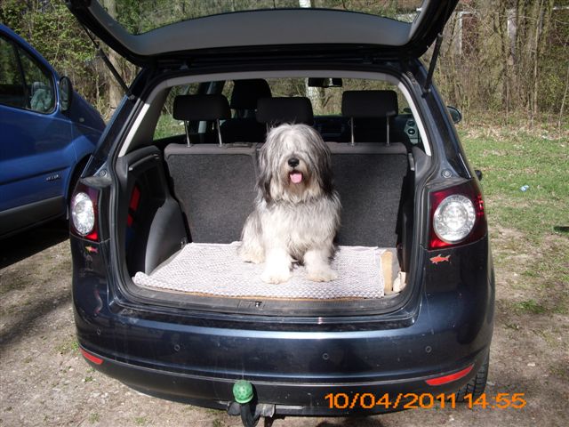 Mai 2010