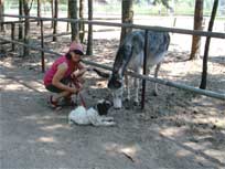 13.08.08: Merlin ist im Tierpark