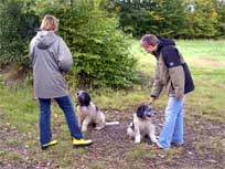 05.09.2008 Besuch bei Mikesch in Schwarzenbek