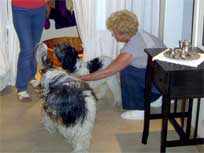 05.09.2008 Besuch bei Mikesch in Schwarzenbek