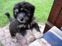 Mai 2010