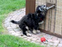 Mai 2010