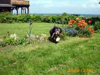 Mai 2010