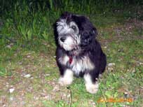 Mai 2010