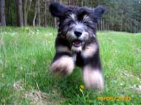 Mai 2010