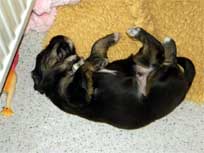 Woche 3