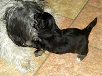 Woche 3