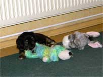 18.03.10 Tobestunde