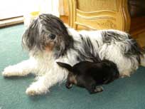 20.03.10 Meine Lieblkingsspeise