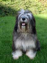 Mai 2010