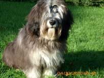 Mai 2010