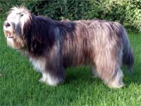 Mai 2010