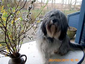 Mai 2011