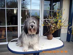 Mai 2010