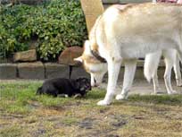 Osterwochenende 2010