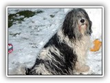 01-2004 Winter (2)
