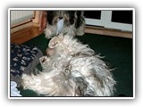 01-2004 Winter (5)