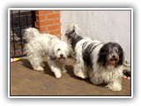 01-2008 - Aschi und Wanda