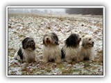 01-2009 Winter