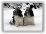 01-2010 Ascha und Patka