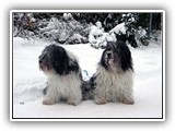 01-2010 Ascha und Patka1