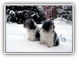 01-2010 Ascha und Patka2

