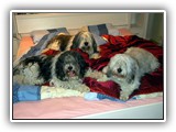 01-2010 Silvester Hier sind wir sicher