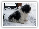 02-2010 Ascha1