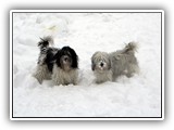 02-2010 Immer noch, so viel Schnee