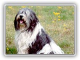 05-2004 Fruehling

