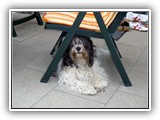 06-2009 Wer kommt da denn

