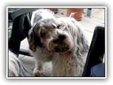 06-2010 Ascha und Wanda