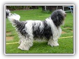08-2006-Aschi