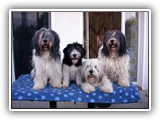 08-2008 Gruppenfoto