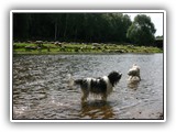 08-2008 Und rein in Mulde