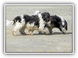 10-2010 Usedom