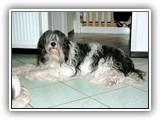 2002 Bitte nicht wecken !

