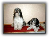 2003 Patti und Ascha
