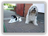 DSCN6792