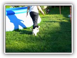 DSCN6794