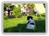 DSCN6796