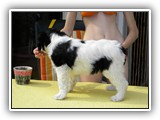 DSCN6828