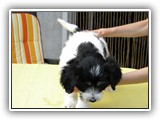 DSCN6829