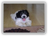 DSCN7249