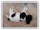 DSCN7267