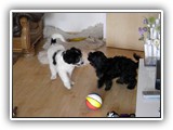 DSCN7314