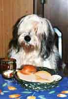 Cico beim Fr�ht�ck