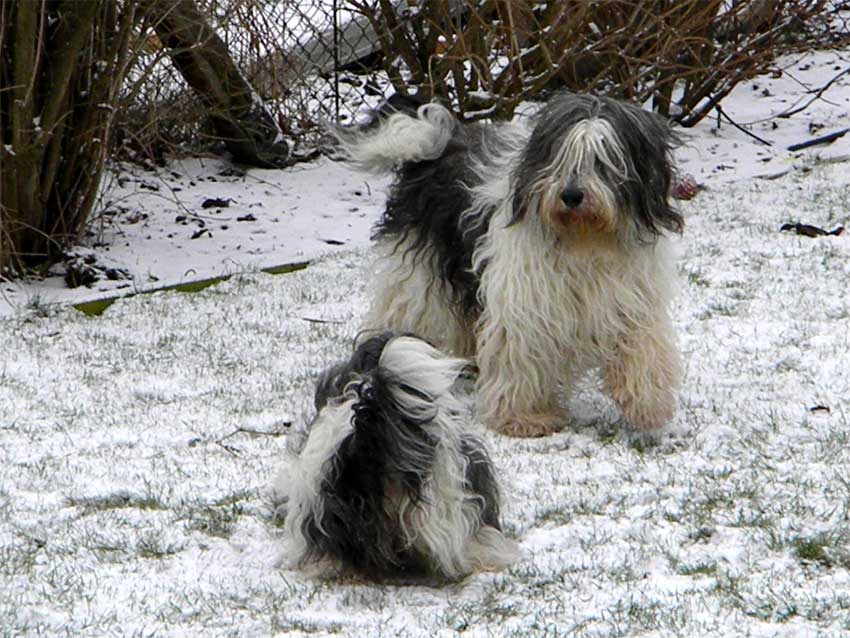 Februar 2011